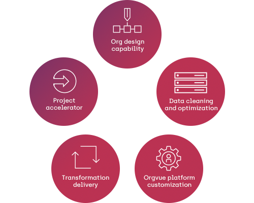 A diagram listing the Orgvue expert services: org design capability; data cleaning and optimization; Orgvue platform customization; transformation delivery; and project accelerator