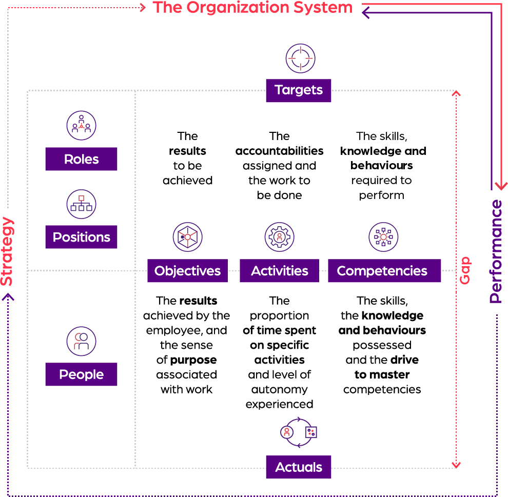 The organization as a system